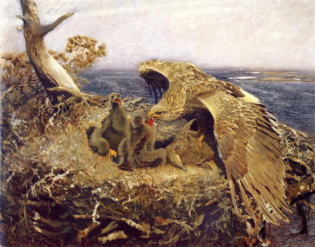 Sea Eagles Nest